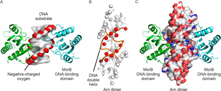 FIGURE 10.