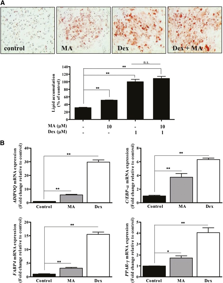 Figure 4.