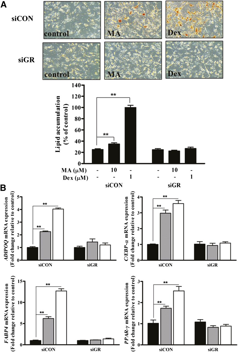 Figure 7.