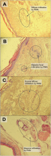 Fig 9