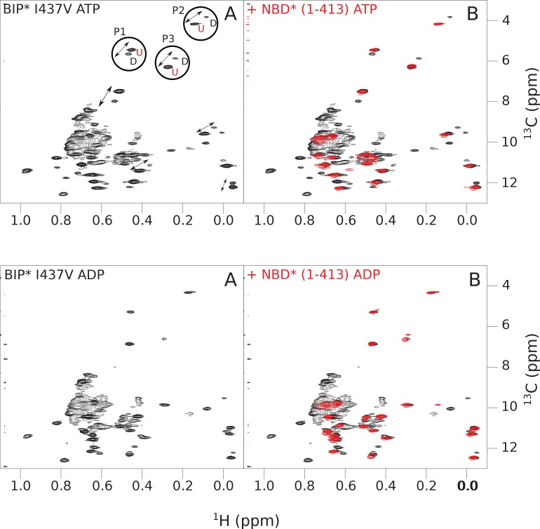 Figure 4—figure supplement 3.