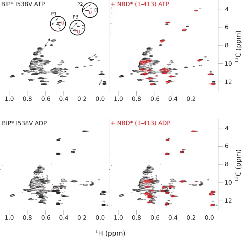 Figure 4—figure supplement 5.