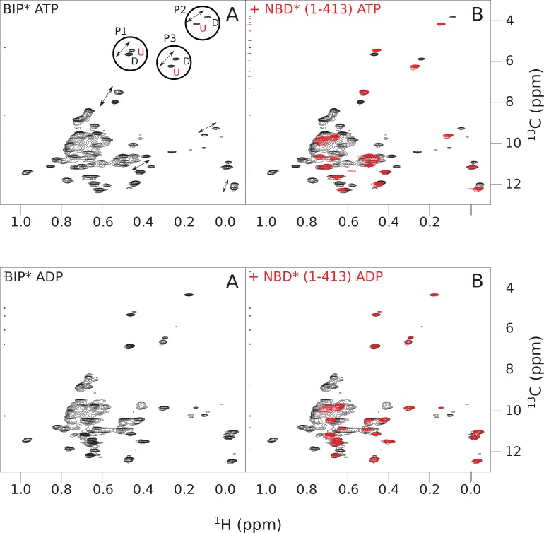 Figure 4—figure supplement 1.