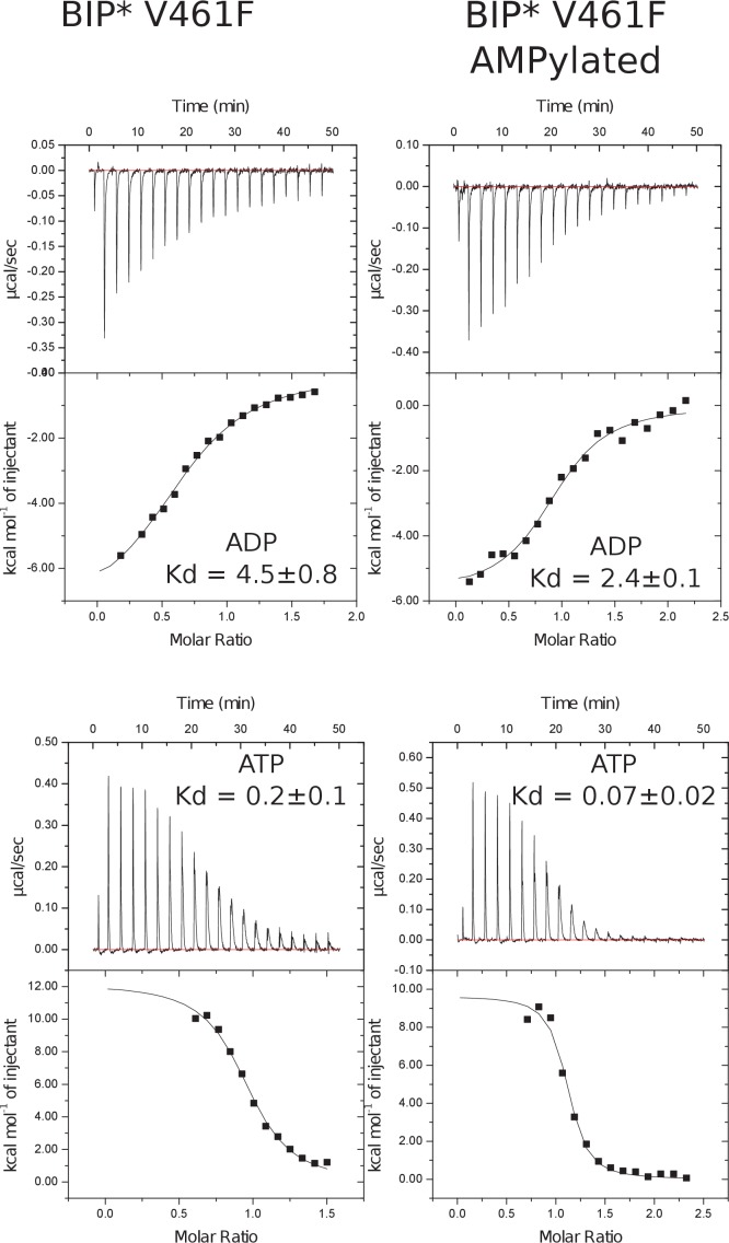 Figure 5—figure supplement 6.