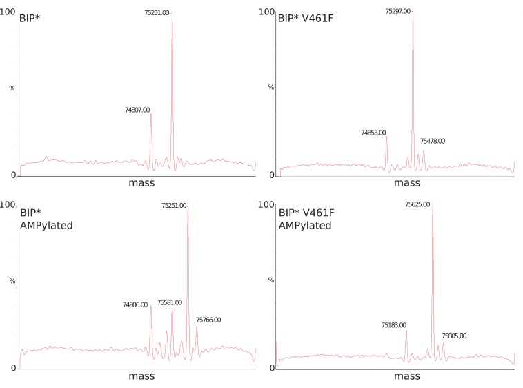 Figure 5—figure supplement 7.