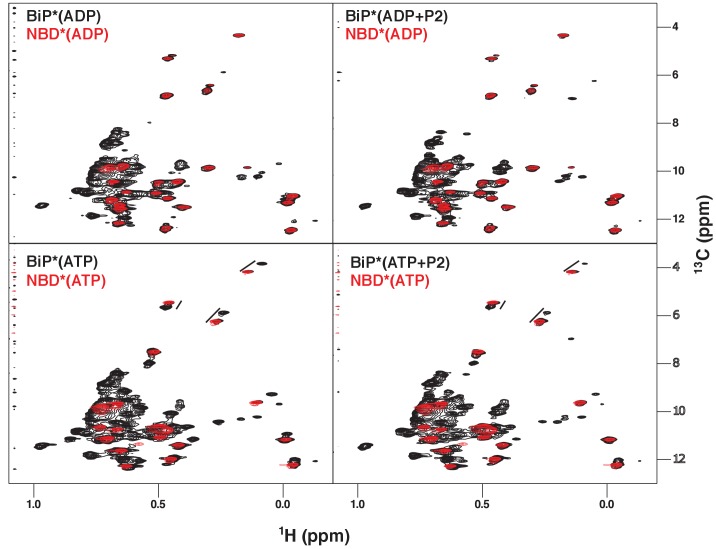 Figure 2—figure supplement 1.