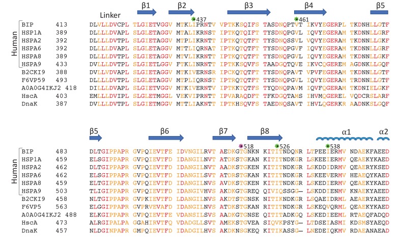 Figure 1—figure supplement 1.