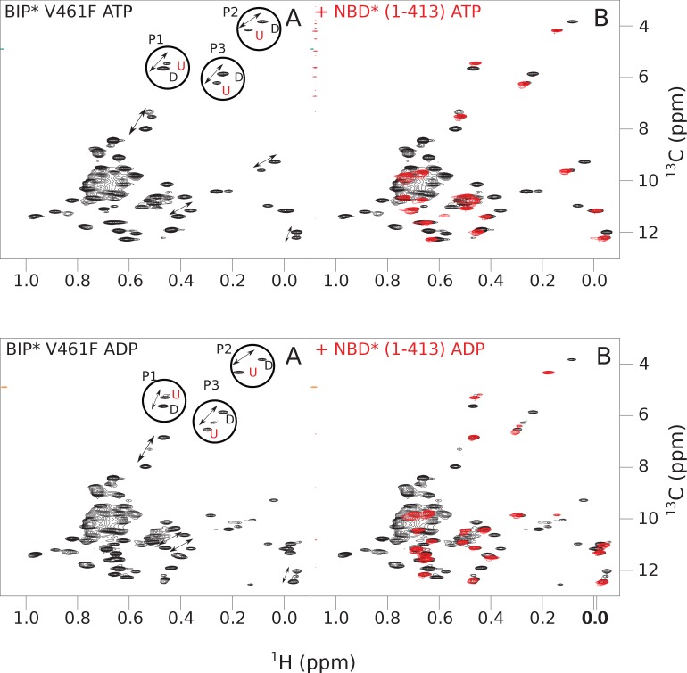 Figure 4—figure supplement 2.