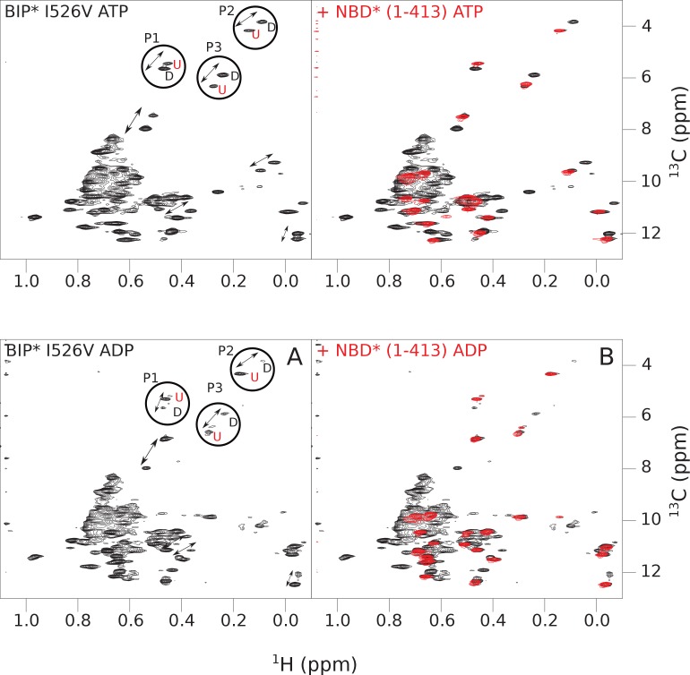 Figure 4—figure supplement 4.