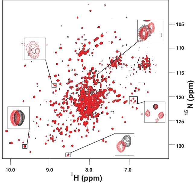 Figure 5—figure supplement 4.