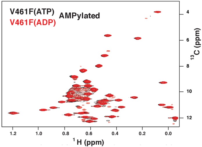 Figure 5—figure supplement 3.