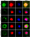 FIG 10