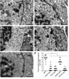 FIG 11