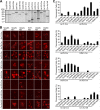 FIG 12
