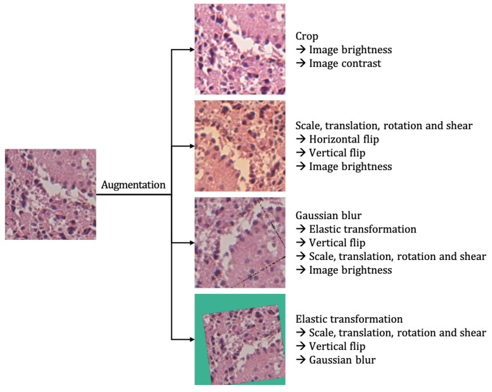 Figure 4