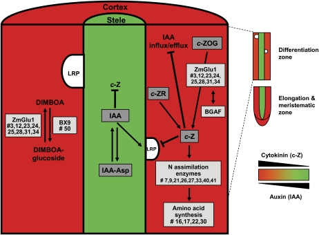 Figure 6.