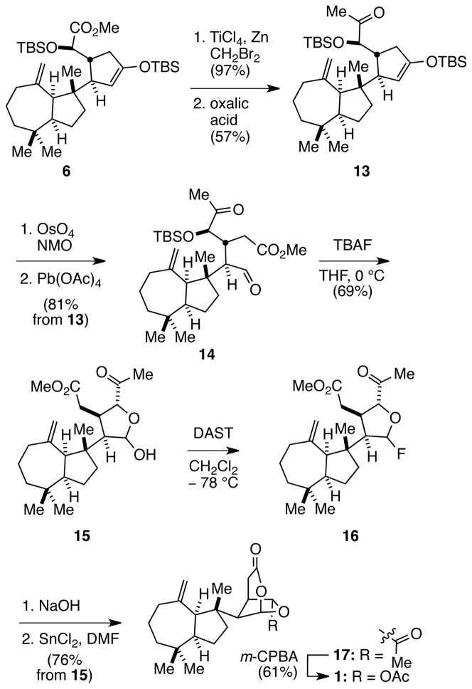 Scheme 3