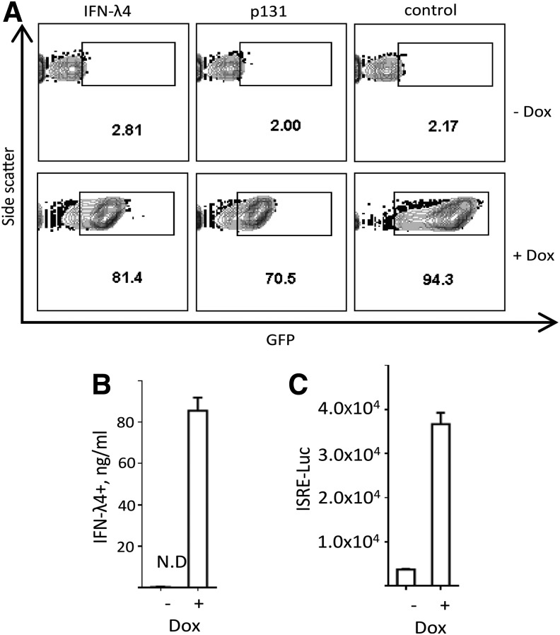 FIG. 6.