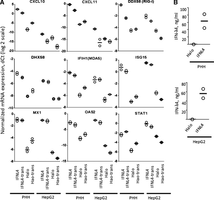 FIG. 2.