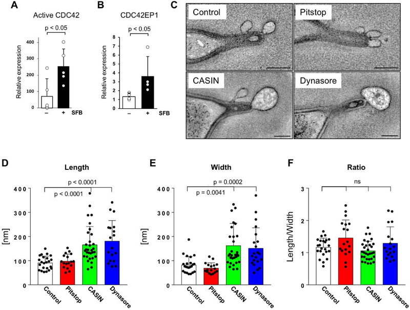 Fig 6.