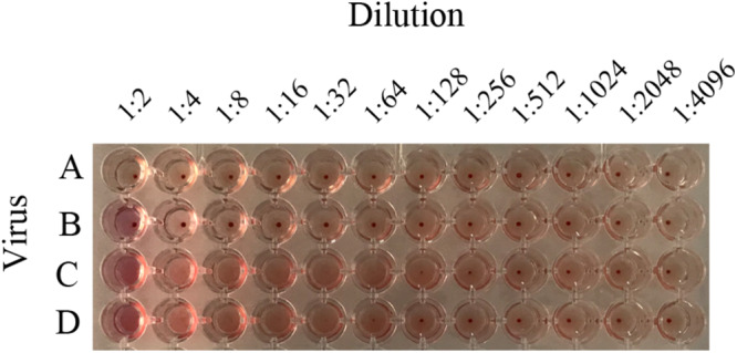 FIGURE 4