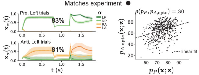 Figure 5—figure supplement 2.