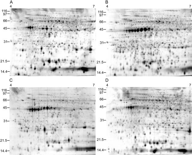 Figure 2.