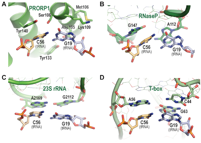 Figure 6.