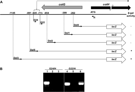 Fig. 1.