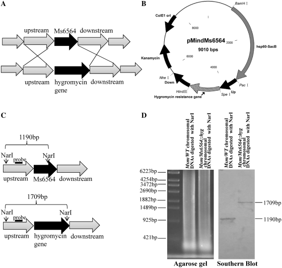 Figure 4.