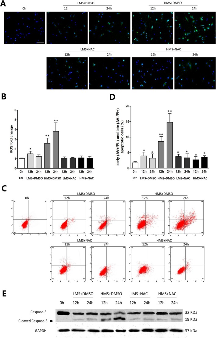 FIGURE 2: