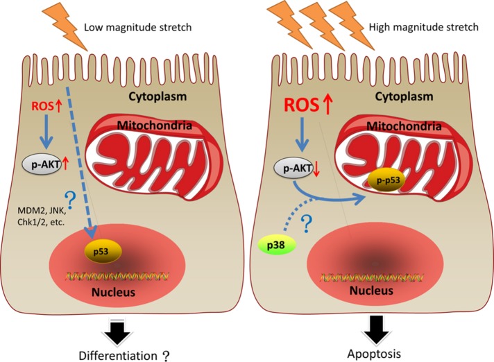 FIGURE 10: