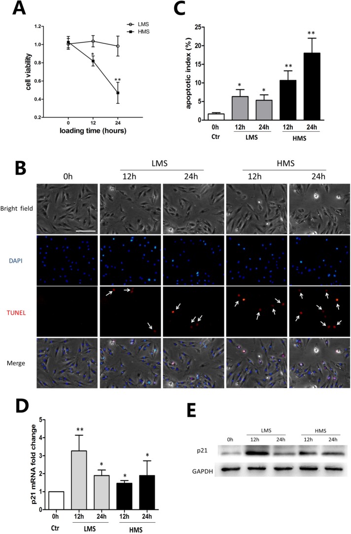 FIGURE 1: