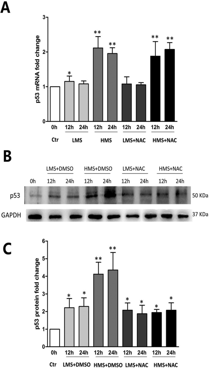 FIGURE 3: