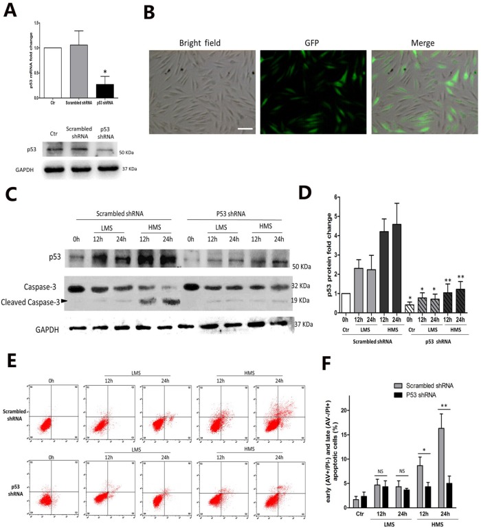 FIGURE 4: