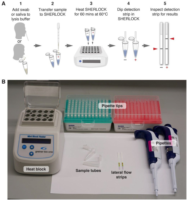 Figure 1: