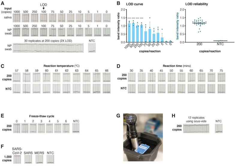 Figure 4: