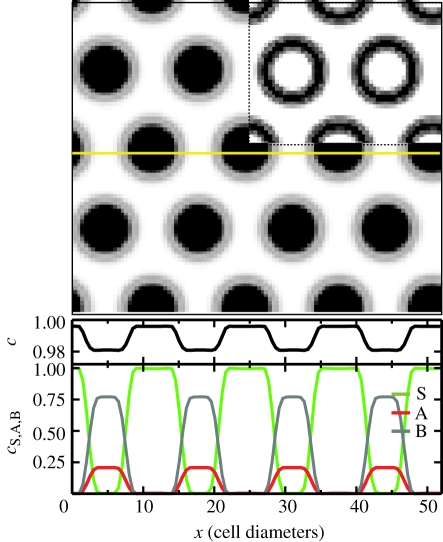 Figure 5.