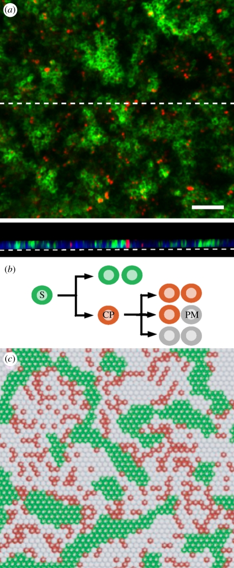 Figure 3.