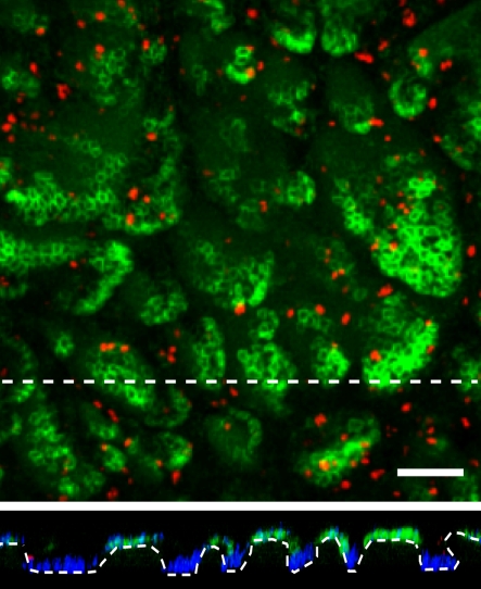 Figure 2.