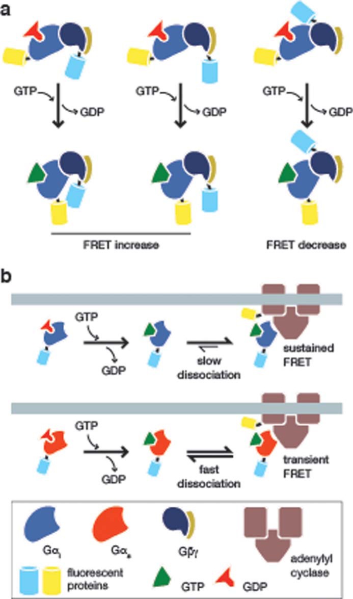 FIGURE 3.