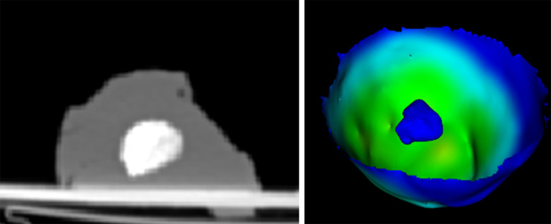 Fig. 7.