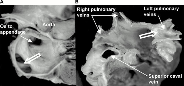 Figure 1  