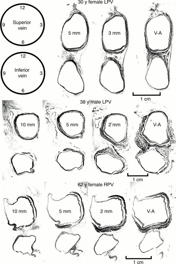 Figure 3  