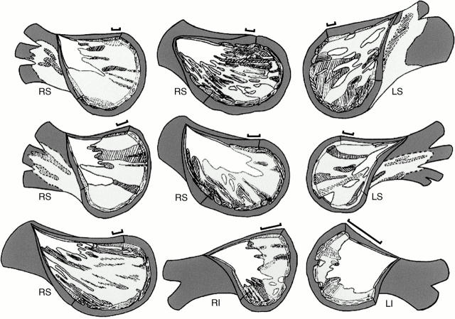 Figure 2  