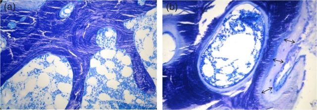 Fig. 1.