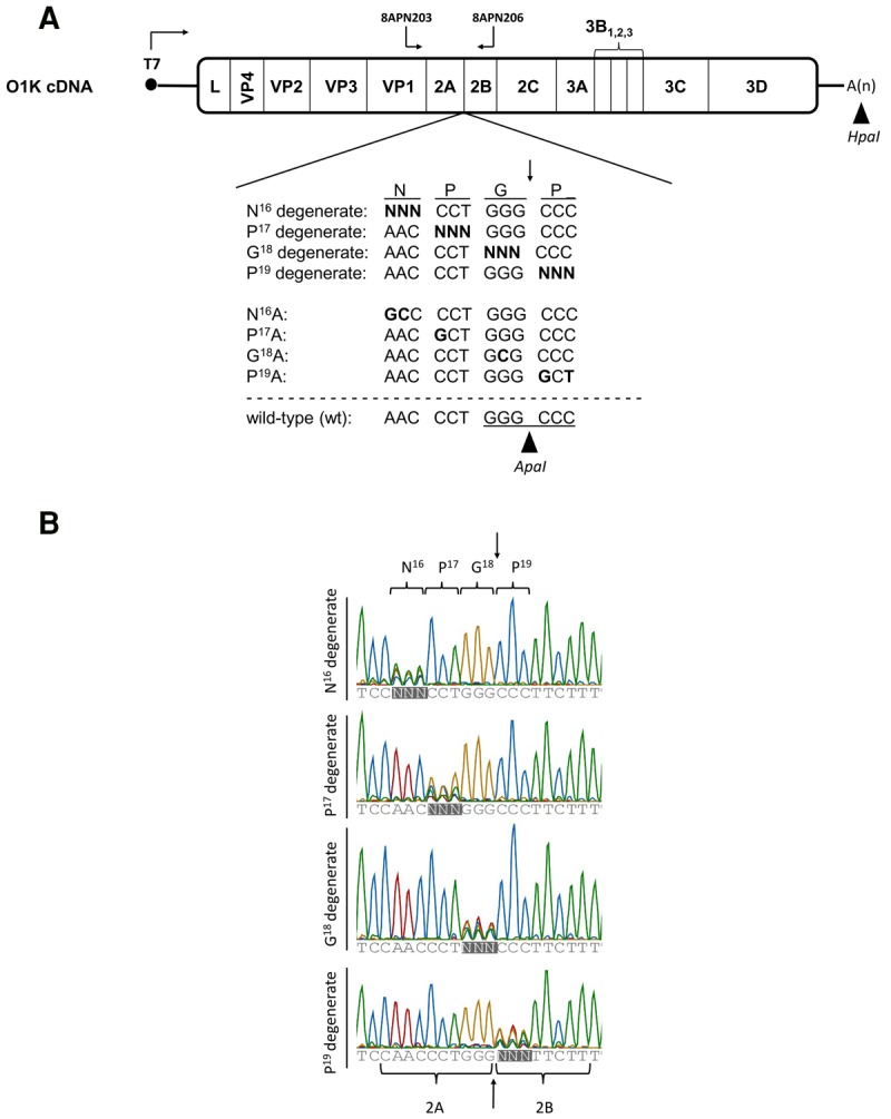 FIGURE 1.