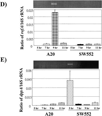 FIG. 4.