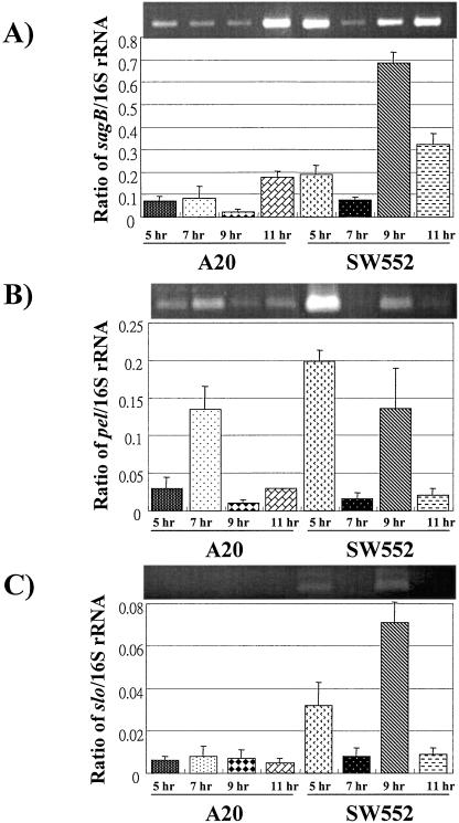 FIG. 4.