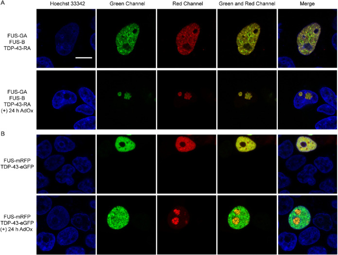 FIGURE 4.